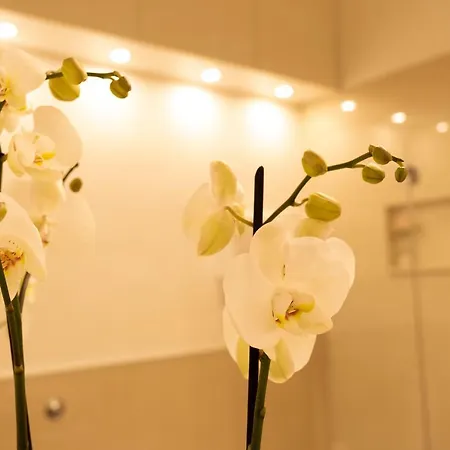 Apartament Cathy's Luxury *