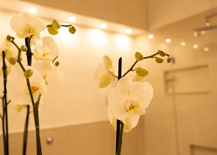 Lägenhet Cathy's Luxury *